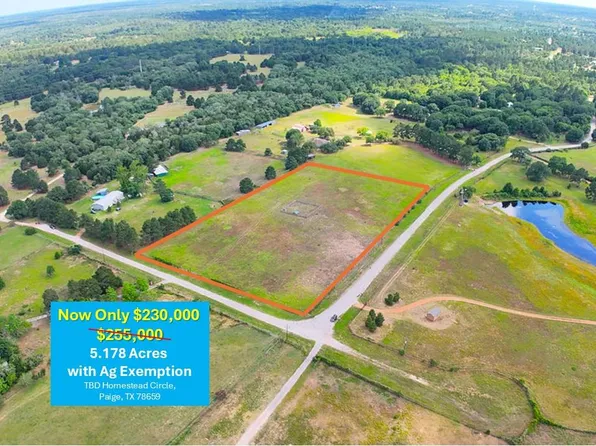 Homestead Cir, Paige, TX 78659