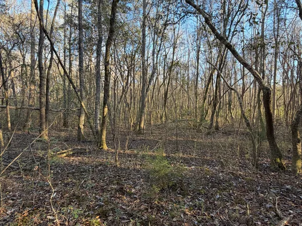 13990 State Highway 27, Lumpkin, GA 31815