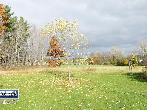 backyard views of park