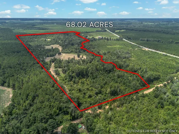 Nicholson Carr Rd, Chester, GA 31012
