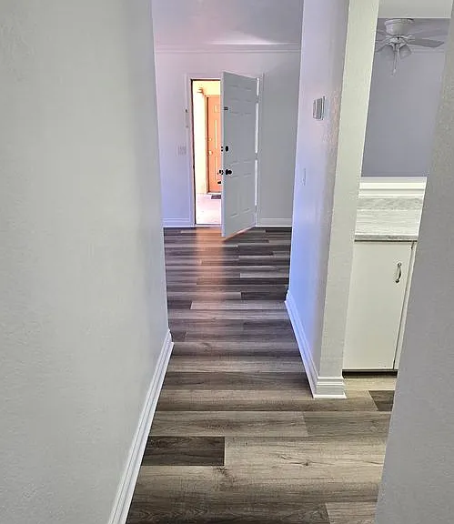 3121 Spring St #208 — Photo 8