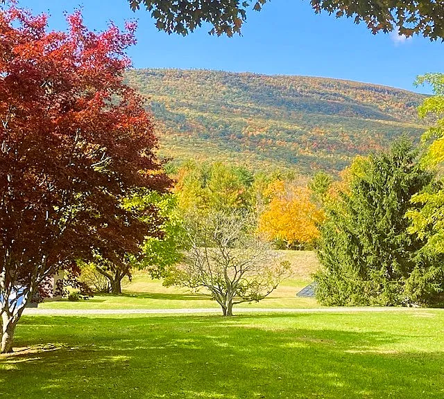 Exansive mountain view from back desk