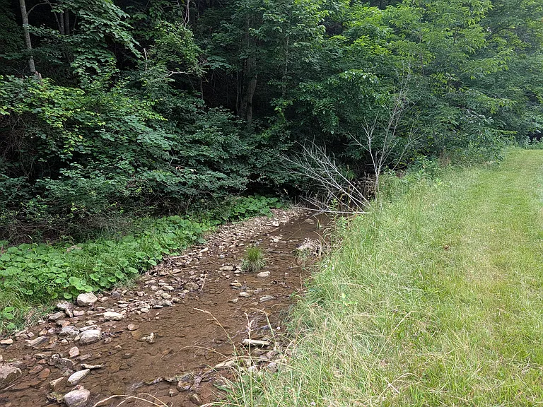 1828 Falling Branch Rd — Photo 10
