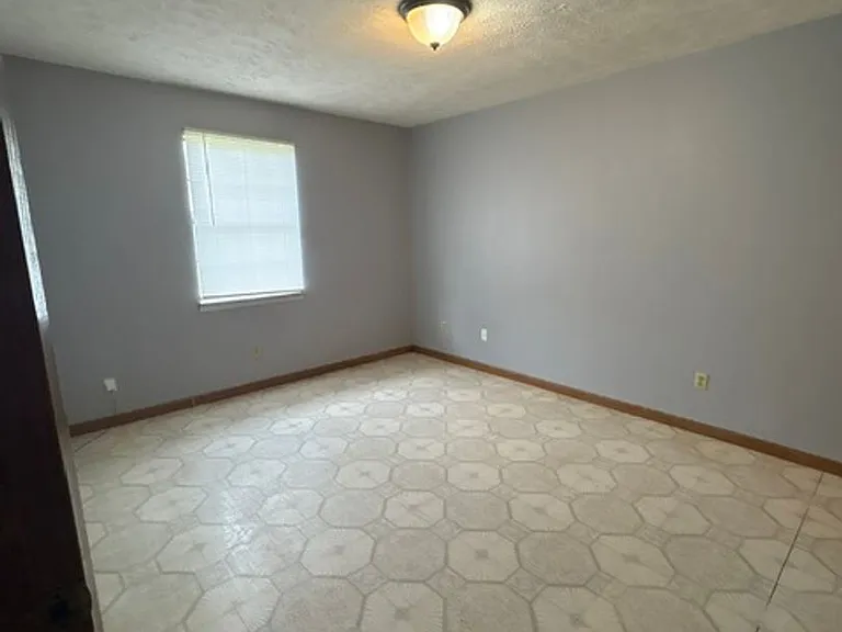 295 Homer Rd — Photo 10