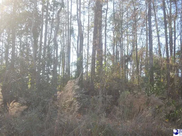 LOT 3 Maple Dr, Hartsville, SC 29550