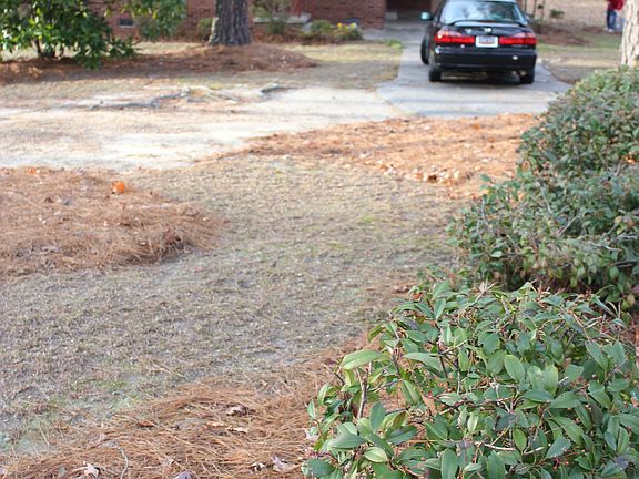 front view from road