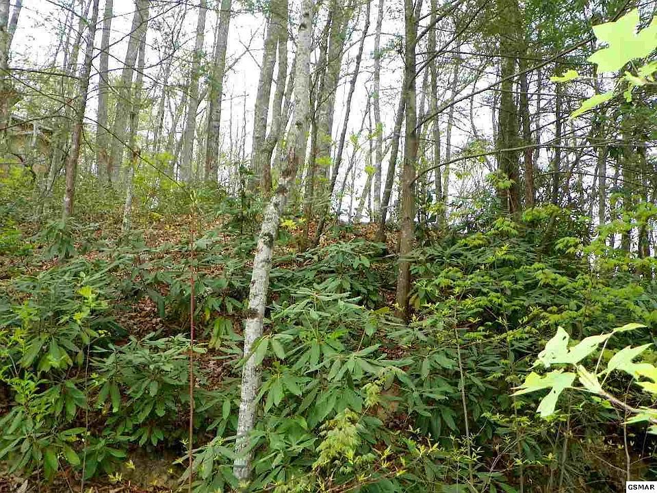 1st image of 44 Jefferson Rd Lot 44