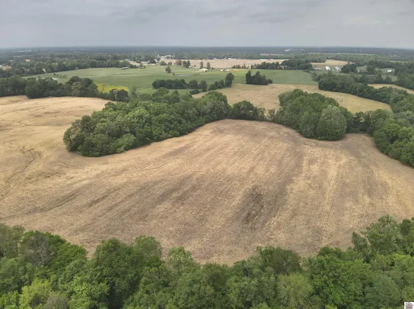 0 Albert Hook Rd, La Center, KY 42056