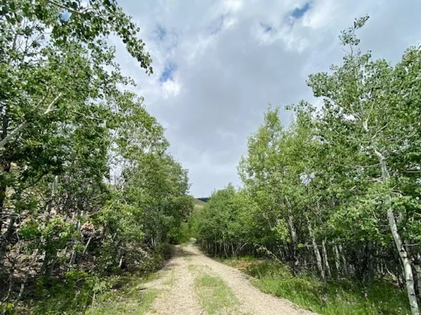 1131 Outlaw Trl, Anaconda, MT 59711