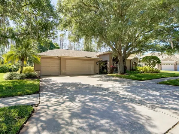 17205 Equestrian Trl, Odessa, FL 33556