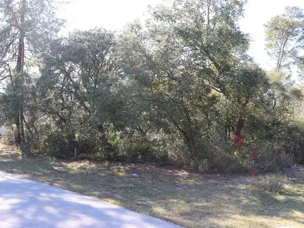 Marion Oaks Golf Rd Lot 35, Ocala, FL 34473