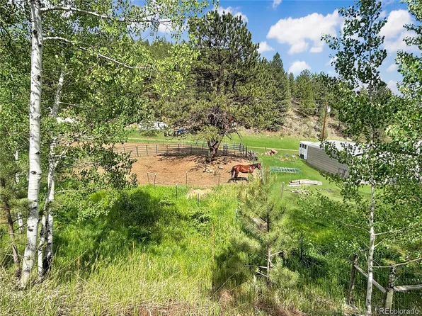 427 Brookside Drive, Bailey, CO 80421