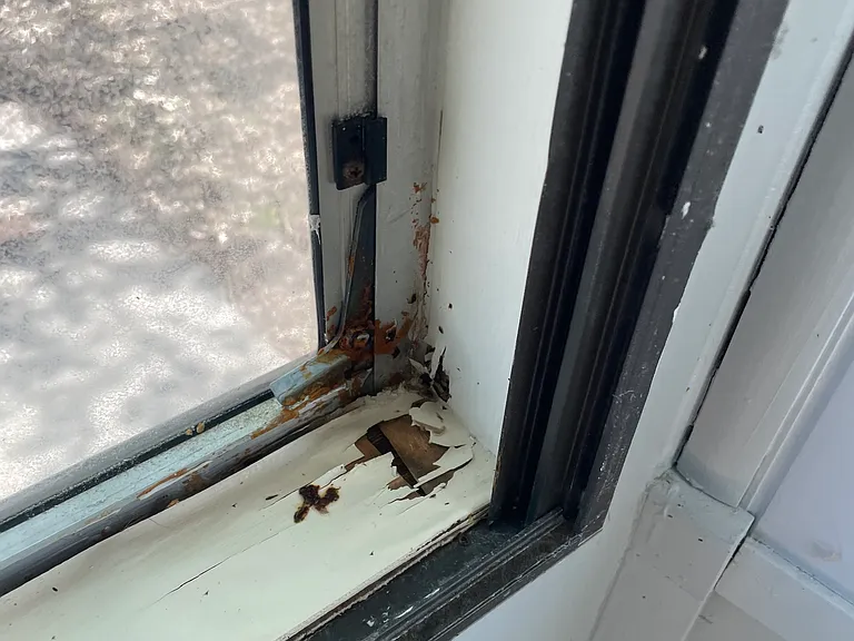 317 Mulberry Blvd — Photo 18