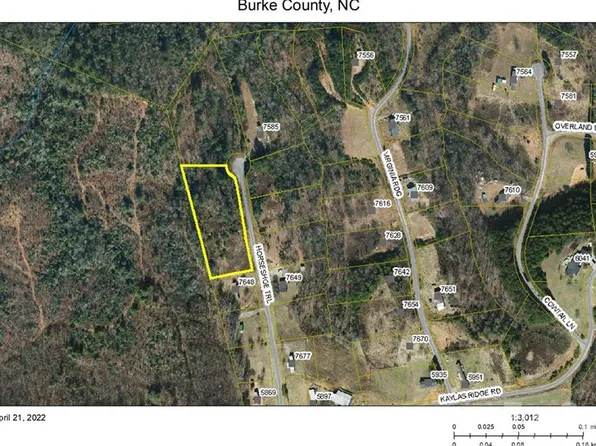 Horseshoe Trl #36, Connelly Springs, NC 28612