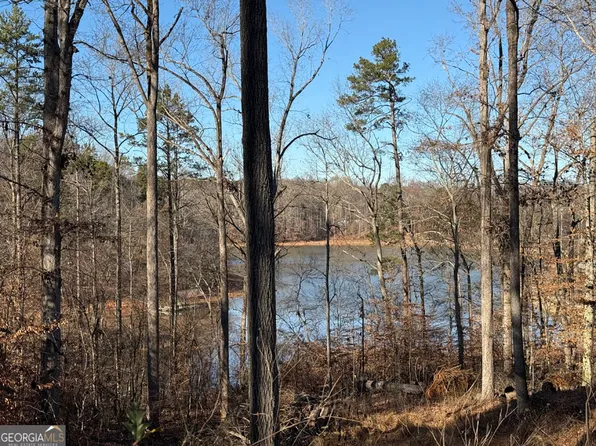 0 View Point Pl, Lavonia, GA 30553