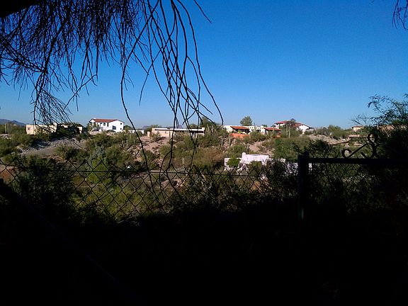 Backyard view