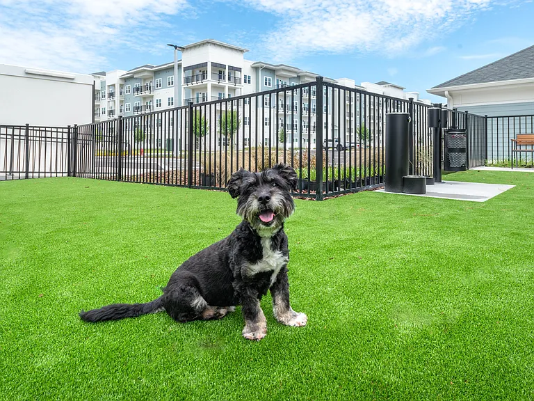 Pet Friendly