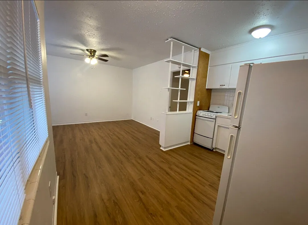 1 bed, 1.0 bath, 550 sqft, $1,000 — Photo 4