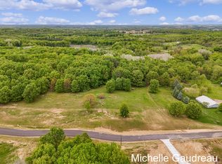 PARCEL Nine Leaf Ln, Freeport, MI 49325