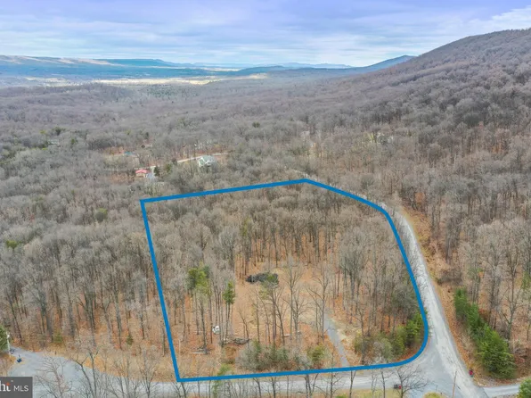 Driftwood Egret, Gerrardstown, WV 25420