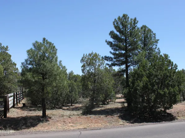 16th Ave 18.2 ACRES -- #5, Show Low, AZ 85901