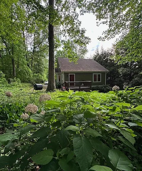 45 Florida Ave — Photo 12