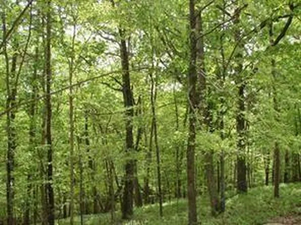 141 Fort Wayne Ct #122, Waleska, GA 30183