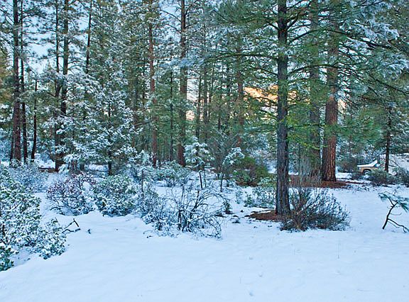 2nd image of 12547 Golden Eagle Dr