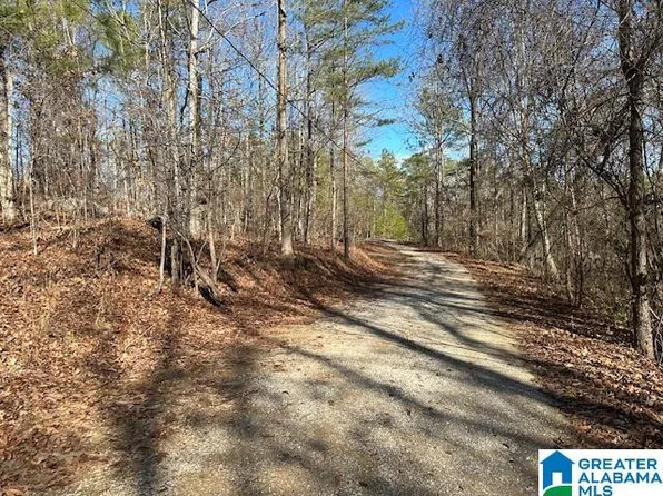 94 Settlers Ln #1, West Blocton, AL 35184