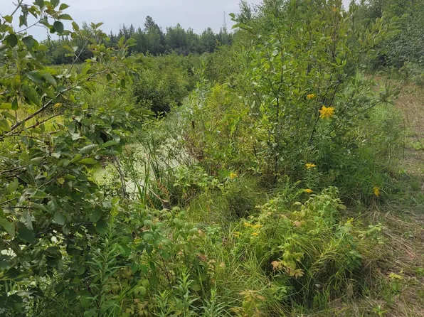 24732 State Highway 18, Mc Grath, MN 56350