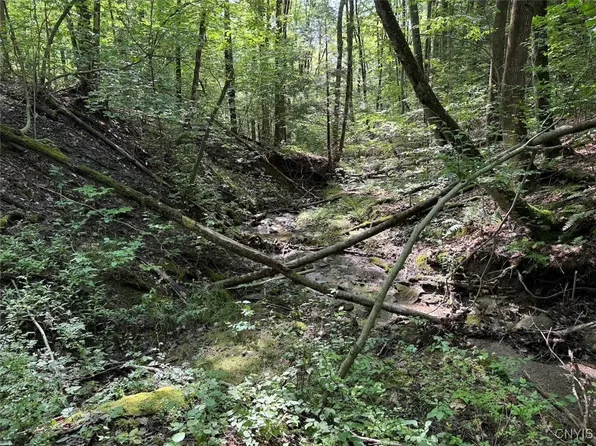 Jollytown Rd, Hinsdale, NY 14743