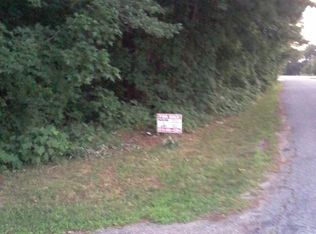 301 Atkinson St, Clayton, NC 27520