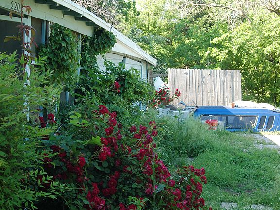 roses by front porch