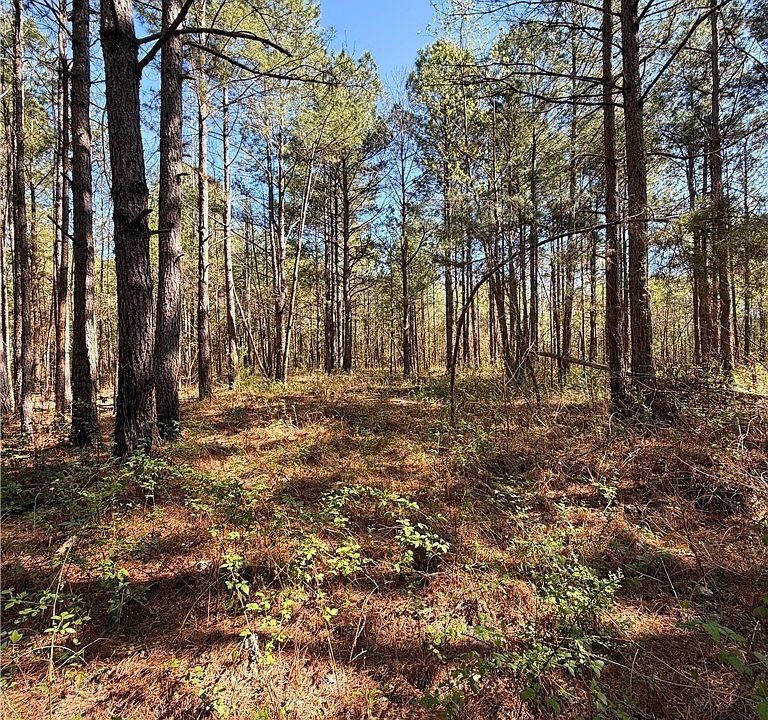 1st image of Clark Rd
