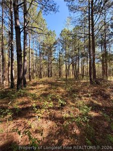 Clark Rd, Maxton, NC, 28364