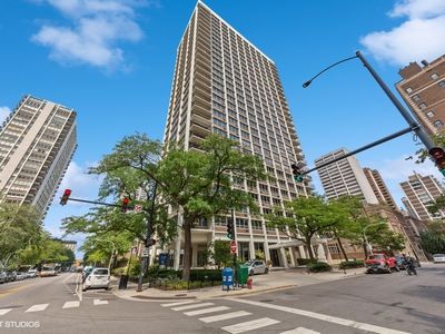 88 W Schiller St APT 201L, Chicago, IL, 60610