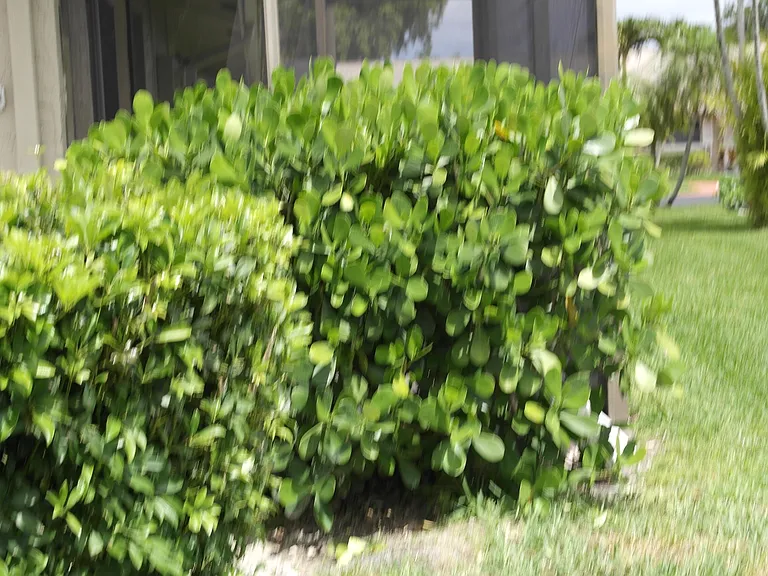 18890 Candlewick Dr #B — Photo 16