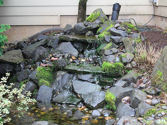 Water feature
