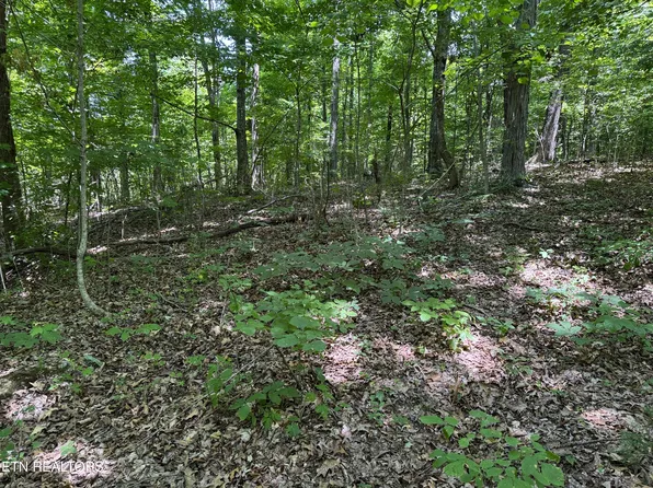 Friendship Rd N, Afton, TN 37616