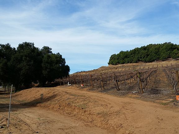 2nd image of 5320 Olive Hill Trl