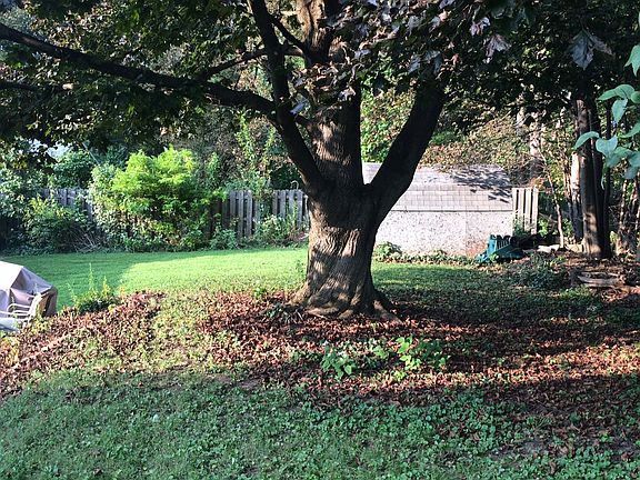 3rd image of 105 Churchill Ln