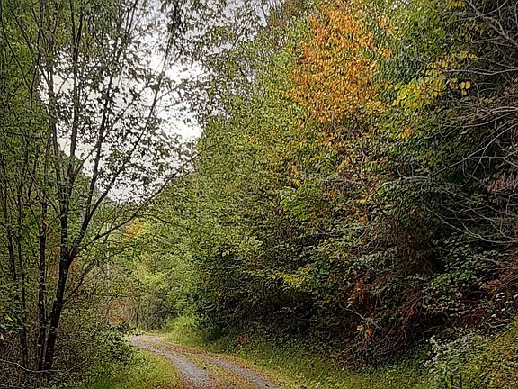 4th image of Indian Creek Ln