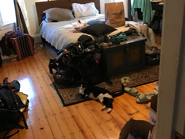 13 Watson St #1 — Photo 12