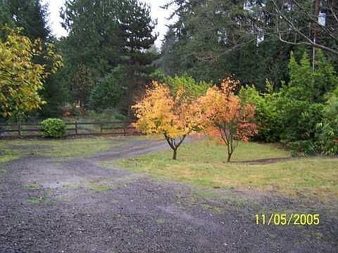 View from the house down the driveway