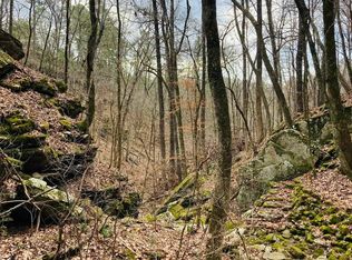 10 Campbell Ln, Calico Rock, AR 72519