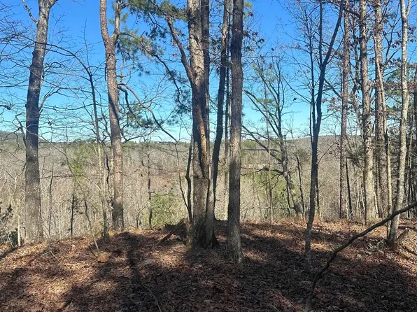 00M Walnut Valley Rd, Hot Springs Village, AR 71909