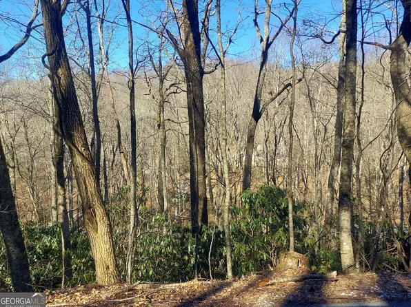 LOT 41 Rebel Cir, Dillard, GA 30537