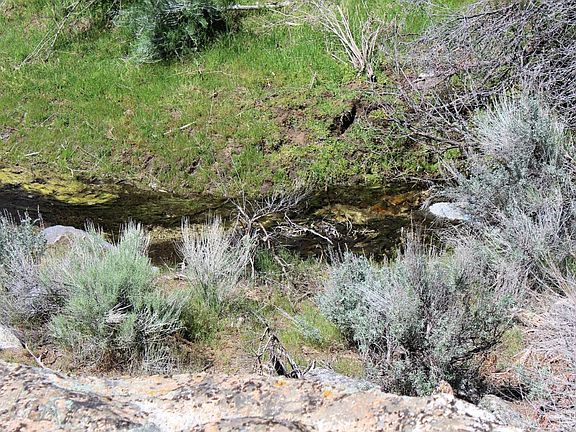 5th image of 16037 Walker Basin Rd #31