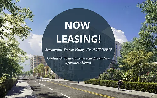 Brownsville Transit Village V Photo 1