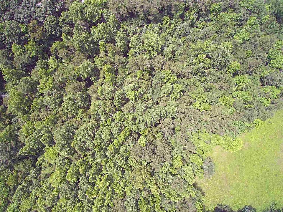 2nd image of 544 Cabin Creek Dr